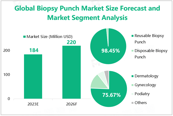 Global Biopsy Punch Market Size Forecast and Market Segment Analysis 
