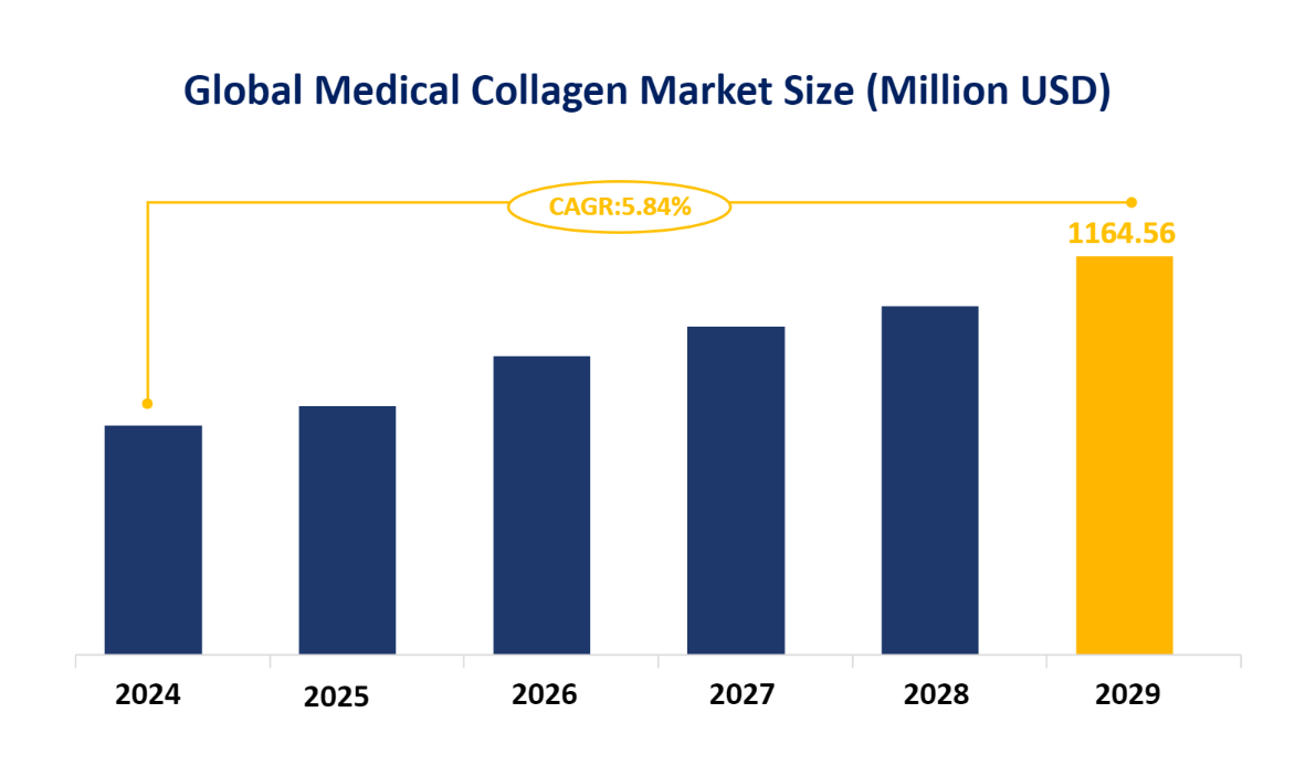 Global Medical Collagen Market Size (Million USD)