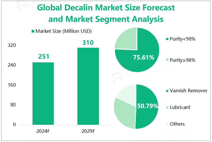 Global Decalin Market Size Forecast and Market Segment Analysis 