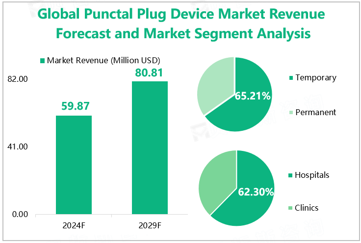 Global Punctal Plug Device Market Revenue Forecast and Market Segment Analysis 