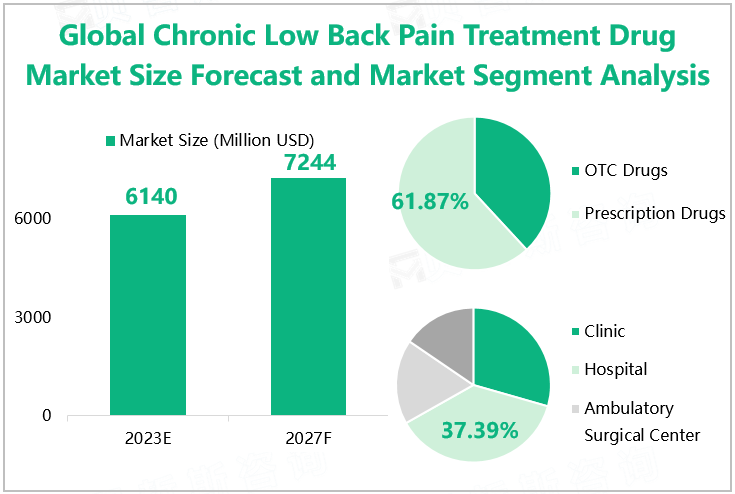 Global Chronic Low Back Pain Treatment Drug Market Size Forecast and Market Segment Analysis 