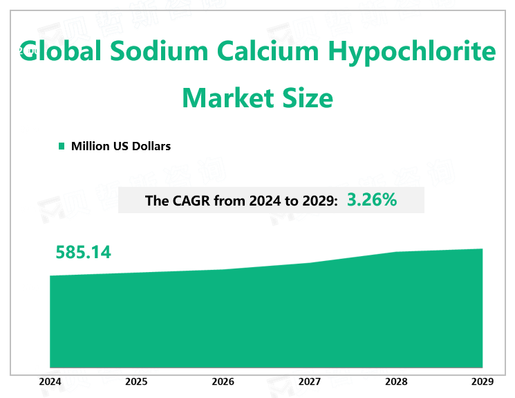 Global Sodium Calcium Hypochlorite Market Size 