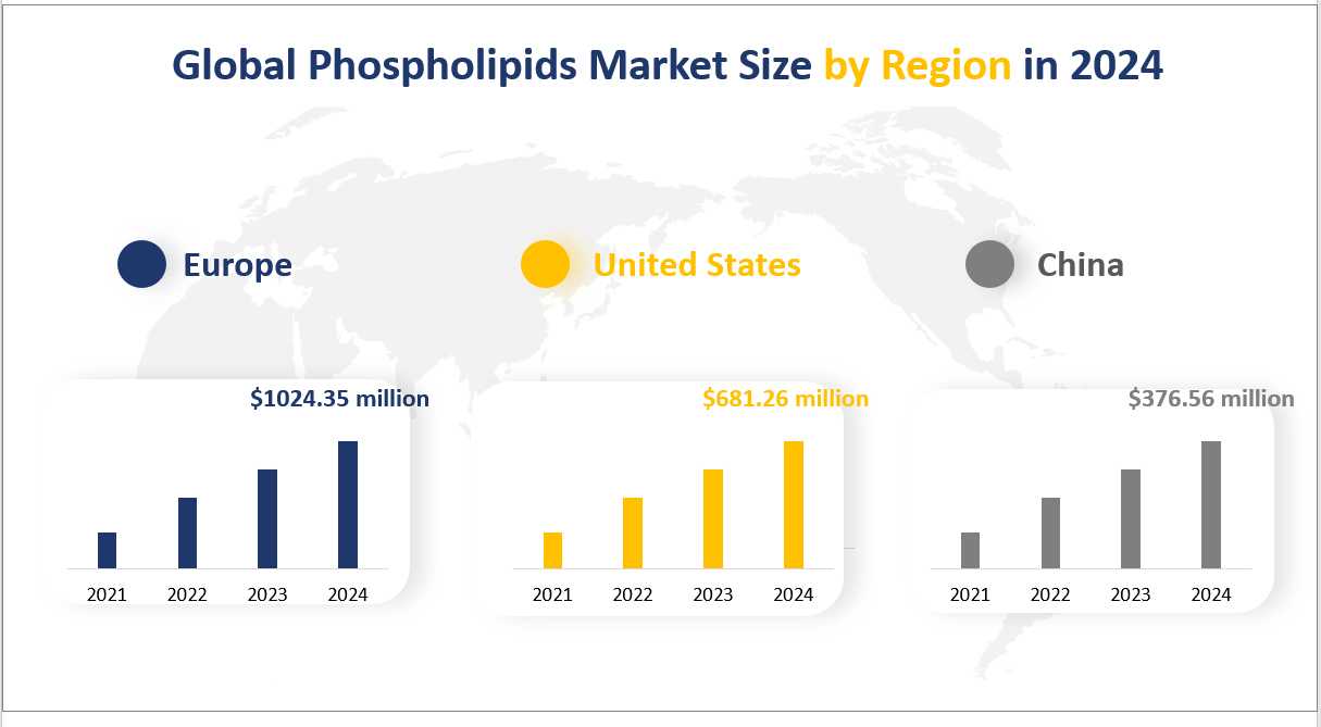 Global Phospholipids Market Size by Region in 2024