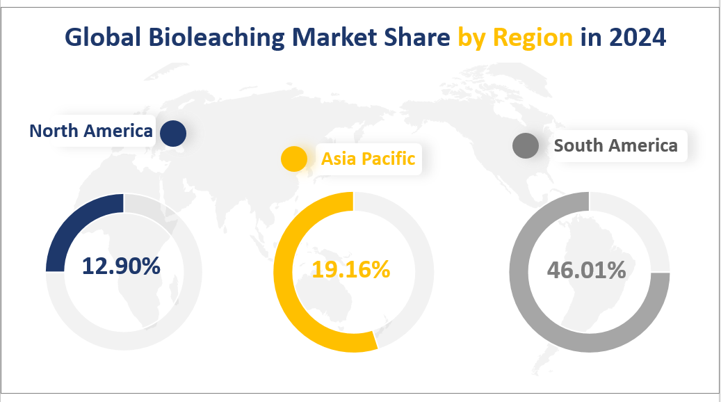 Global Bioleaching Market Share by Region in 2024