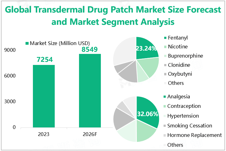 Global Transdermal Drug Patch Market Size Forecast and Market Segment Analysis 